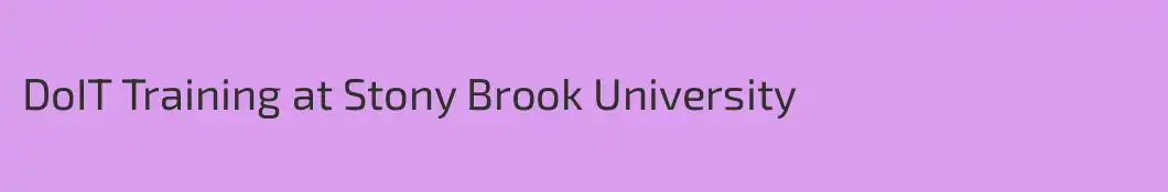 DoIT Training at Stony Brook University